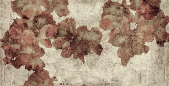 Mural Tecnografica Art Giorgia Beltrami Gerani SILVER