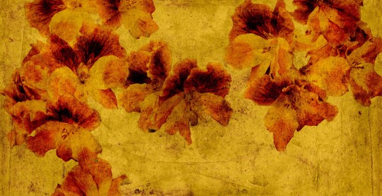 Mural Tecnografica Art Giorgia Beltrami Gerani GOLD