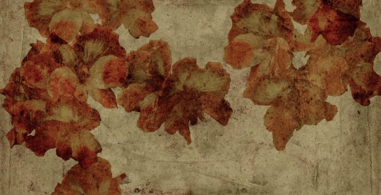 Mural Tecnografica Art Giorgia Beltrami Gerani BRONZE