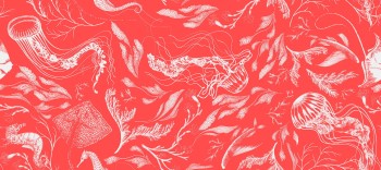 0d06b87ba76da8490c9ea96bf2ebfdab