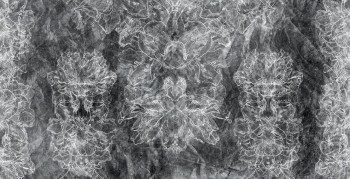 a8fc1d647c5689296cf042e65ccd94fe