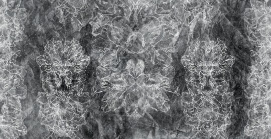 Mural Tecnografica Art Giorgia Beltrami Genus BLACKBOARD