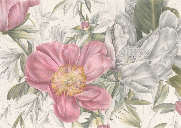 Mural Tecnografica Art Cristina Iotti Armonia