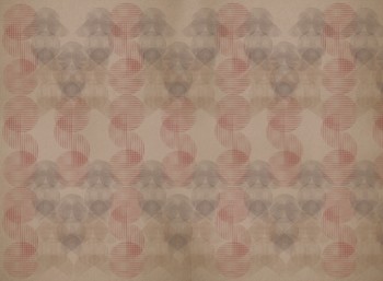 c335f9fc8ea9a57bf9a300c4df1ebd0a