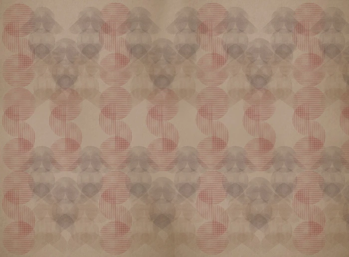 c335f9fc8ea9a57bf9a300c4df1ebd0a