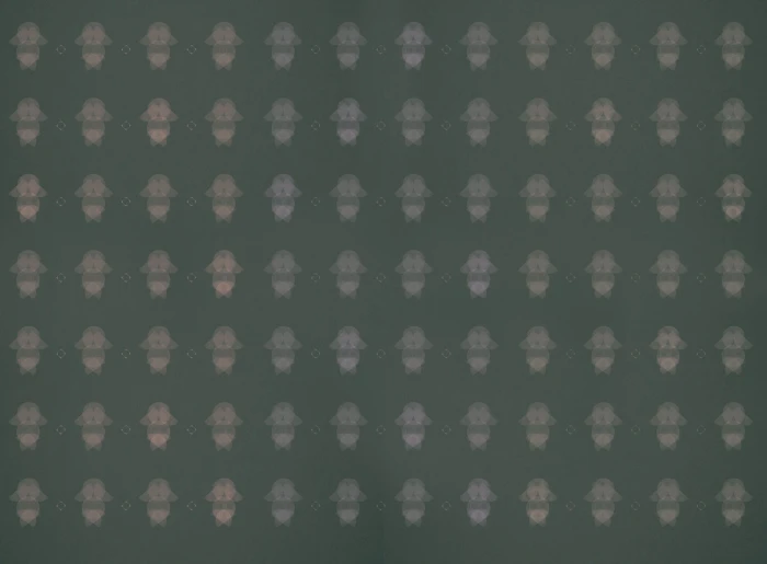 b3895b36873a5b18fff3a95fa772de77