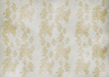 c7b1078dd0ca20b3268ddfaa37ead49a