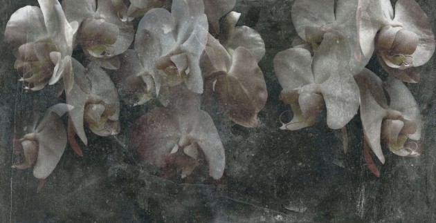 Mural Tecnografica Art Giorgia Beltrami Paestum GREY DARK