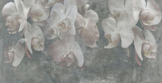 Mural Tecnografica Art Giorgia Beltrami Paestum GREY LIGHT