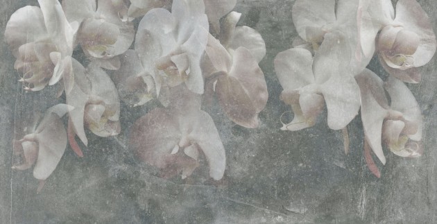Mural Tecnografica Art Giorgia Beltrami Paestum GREY LIGHT