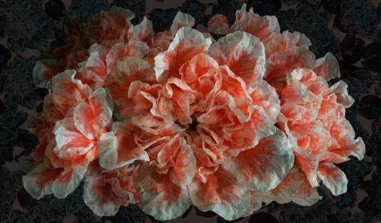 Mural Tecnografica Art Giorgia Beltrami Emotion SMOOTH