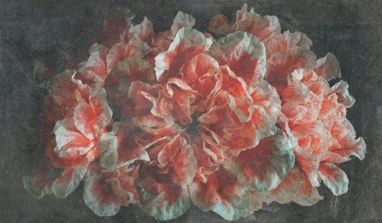 Mural Tecnografica Art Giorgia Beltrami Emotion STONE WASHED