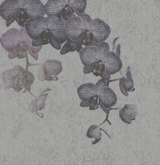 Mural Tecnografica Art 212dpi Orchidales GREY
