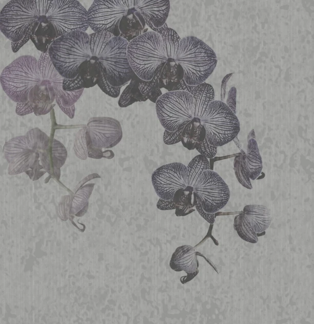 Mural Tecnografica Art 212dpi Orchidales GREY