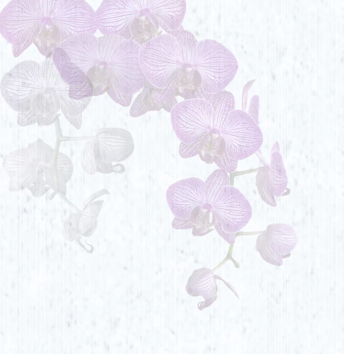 3b9a18962b197055f7e8327e0b1b6115