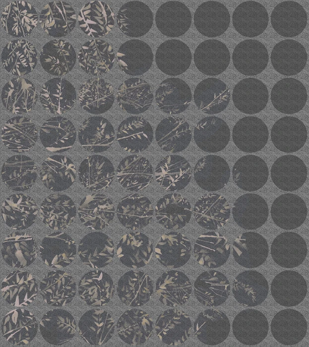 9bf173ebf1cc97a1962e93c26ae270b8