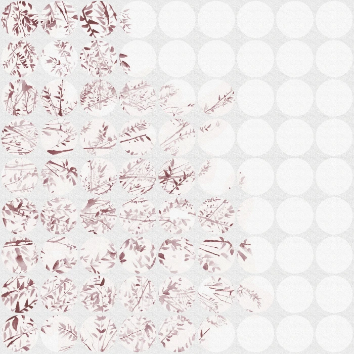 7f846502887d9ff47114fdd7256dce62