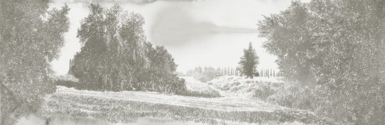 Mural Tecnografica Art Giorgia Beltrami Un lungo viaggio GREY