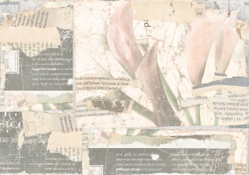 a135a8faa5e725807494d6a1b905f03a