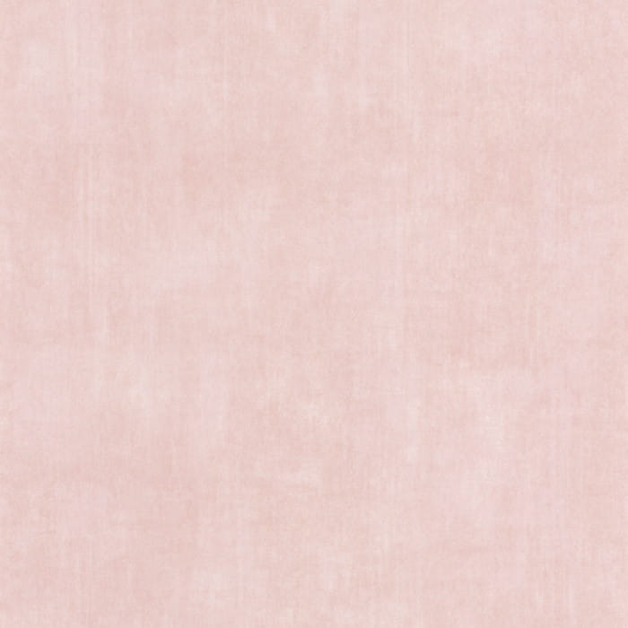 509f358e8540c92bc9ce8fc205a53d1f