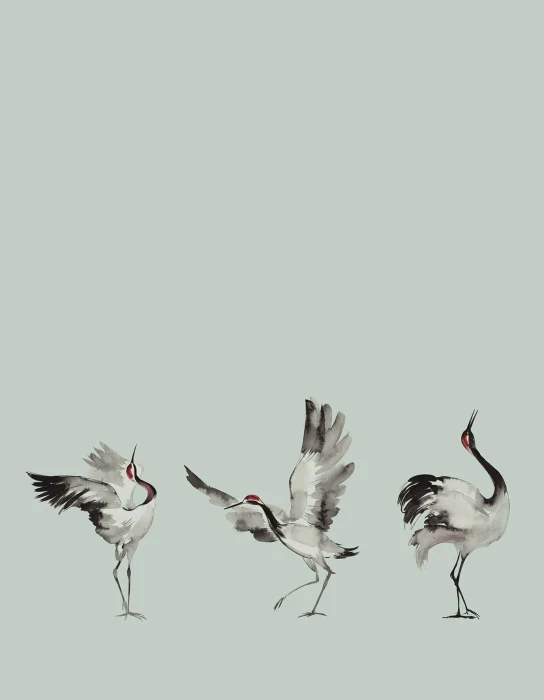765257625667bce2d518efdab6756151