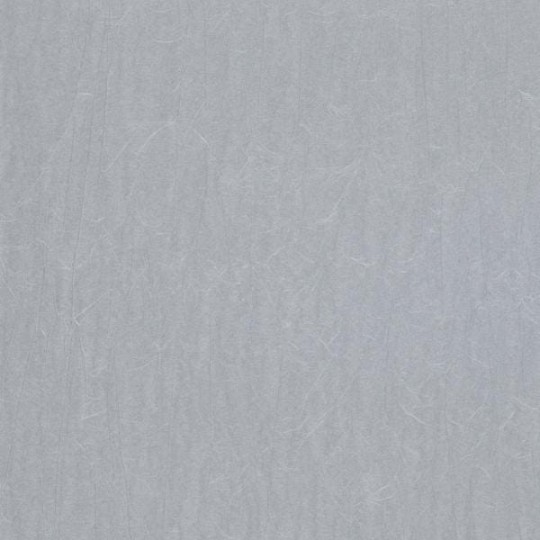 Tapeta Marburg Crush Motion 63416