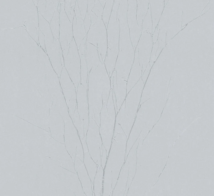 30cf92ed2e4d3c4ca9551a61aa2fa150