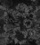 d4be7551ab464274111d0d66af770442