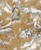 a48c29618af157eb72c670719c04cd9a