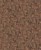 14f37df9b671e72a221bc2784efab8d4