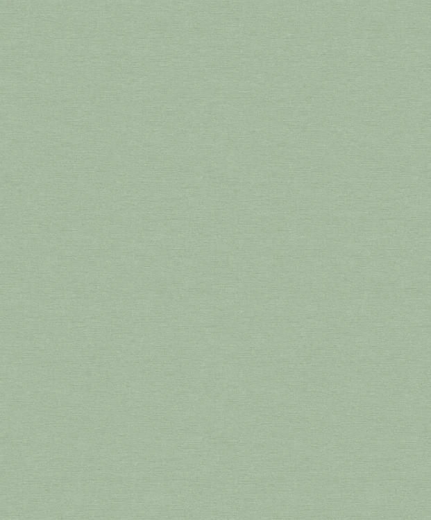 43e6ca5a2478fda57d320cd326ddf982