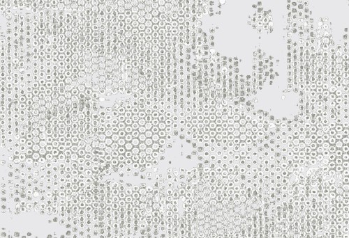 513e4a4789784d3e0c7c228fd4840588