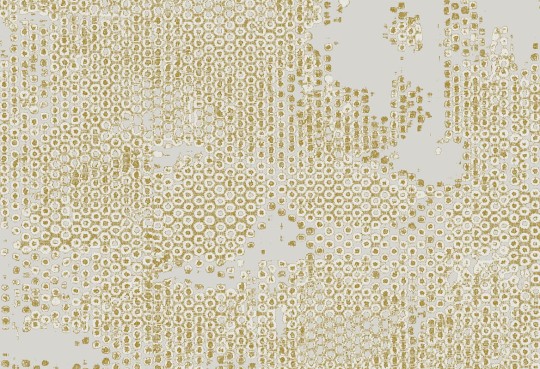 Tapeta Hooked on Walls Hidden Treasures 70041 Underwater