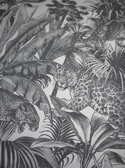 Divine Savages DVS105 Faunacation Monochrome - tapeta tropikalna