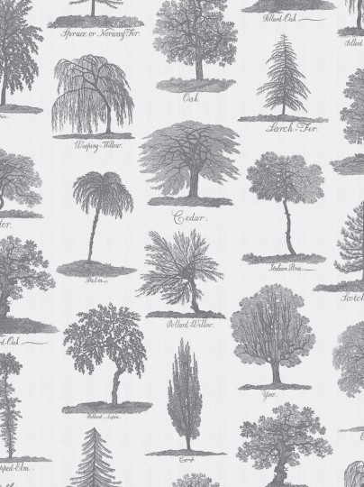 Divine Savages DVS050 Arboreta Charcoal - tapeta w drzewa