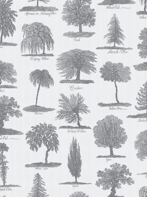 Divine Savages DVS050 Arboreta Charcoal - tapeta w drzewa