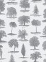 cf2f2431179d1bb21bca0e72a641b503