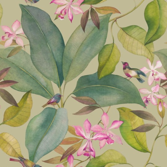 Casadeco Beauty Full Image Encyclopedia Panoramique Exoticus 83351467 - mural tropikalny