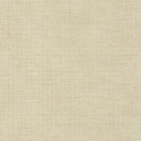 Casadeco Tissage 85847117 Five O'clock Plain - tapeta beżowa