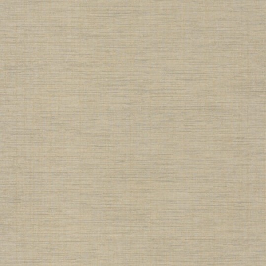 Casadeco Tissage 85847227 Five O'clock Plain - tapeta szary porost