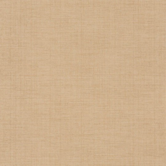 Casadeco Tissage 85841414 Five O'clock Plain - tapeta beżowa