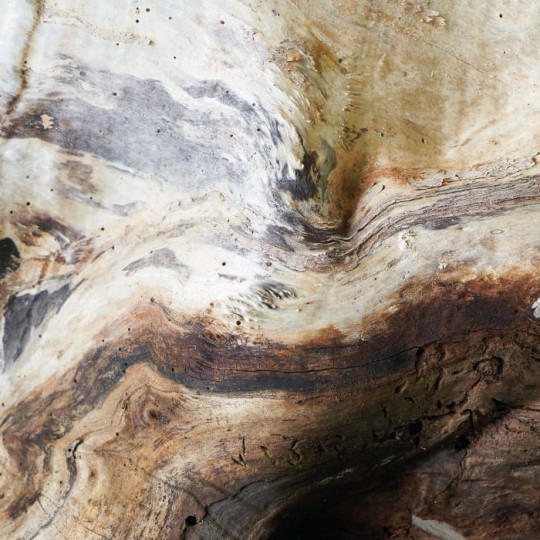 Casadeco 86151575 Beauty Full Image 2 CAD Woods Panoramique Saule - mural imitujący drewno