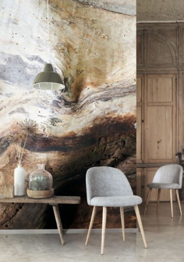 Casadeco 86151575 Beauty Full Image 2 CAD Woods Panoramique Saule - mural imitujący drewno