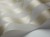 84751ae9dd10d98a6bb3f6abb6a255ac