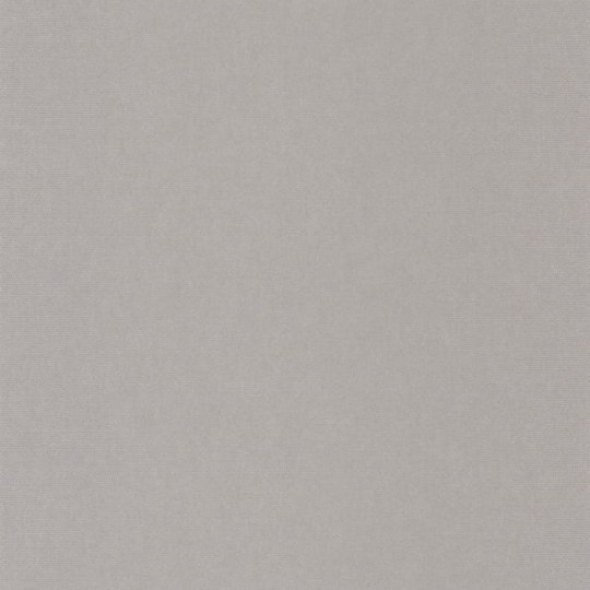 Casadeco Beauty Full Image 2 CAD 82072353 Helsinki Resolution - tapeta minimalistyczna