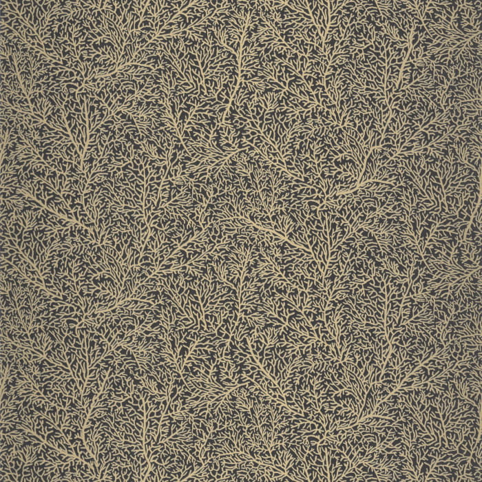2c245ebfc33507a68c35404736b797bd