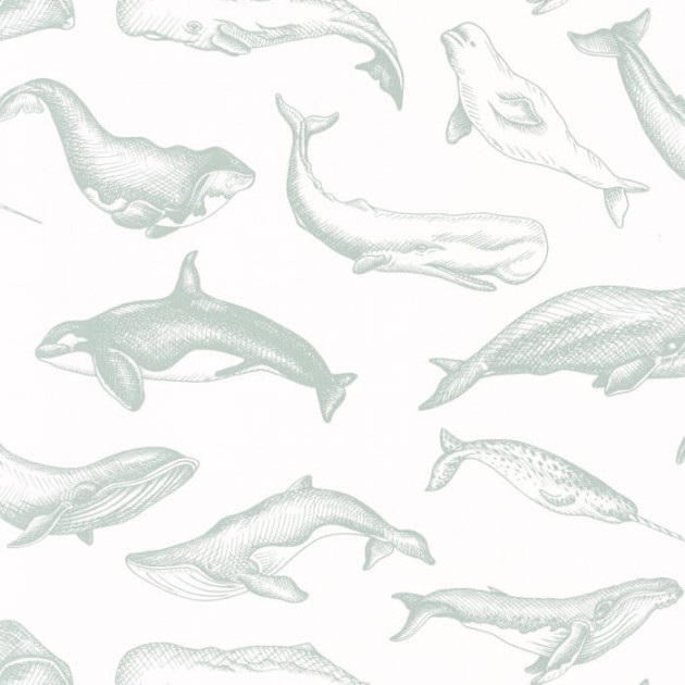 Caselio Sea You Soon 102797010 Whale Done - tapeta wieloryby