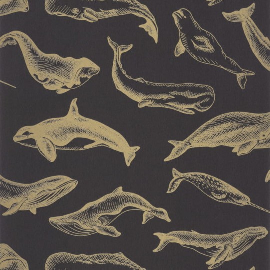 Caselio Sea You Soon 102799298 Whale Done - tapeta wieloryby