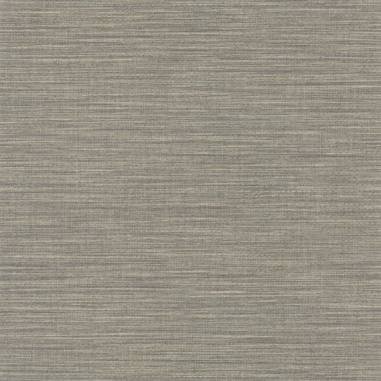 Caselio Color Box 2 69581931 Uni - szara tapeta