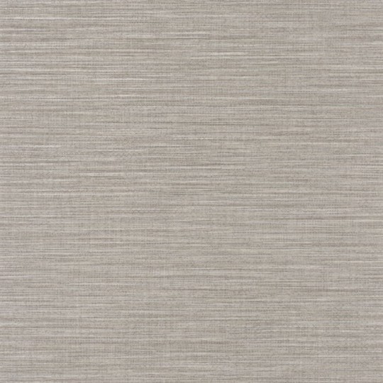Caselio Color Box 2 69581613 Uni - szara tapeta